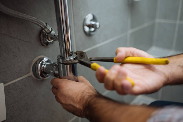 Best Plumbing Inspection Services  in Celoron, NY