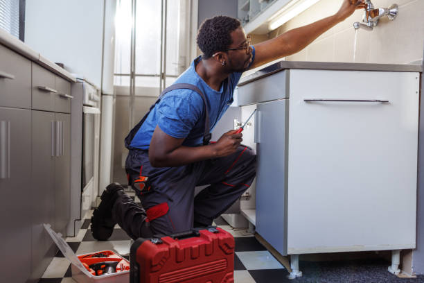 Best Local Plumber Services  in Celoron, NY